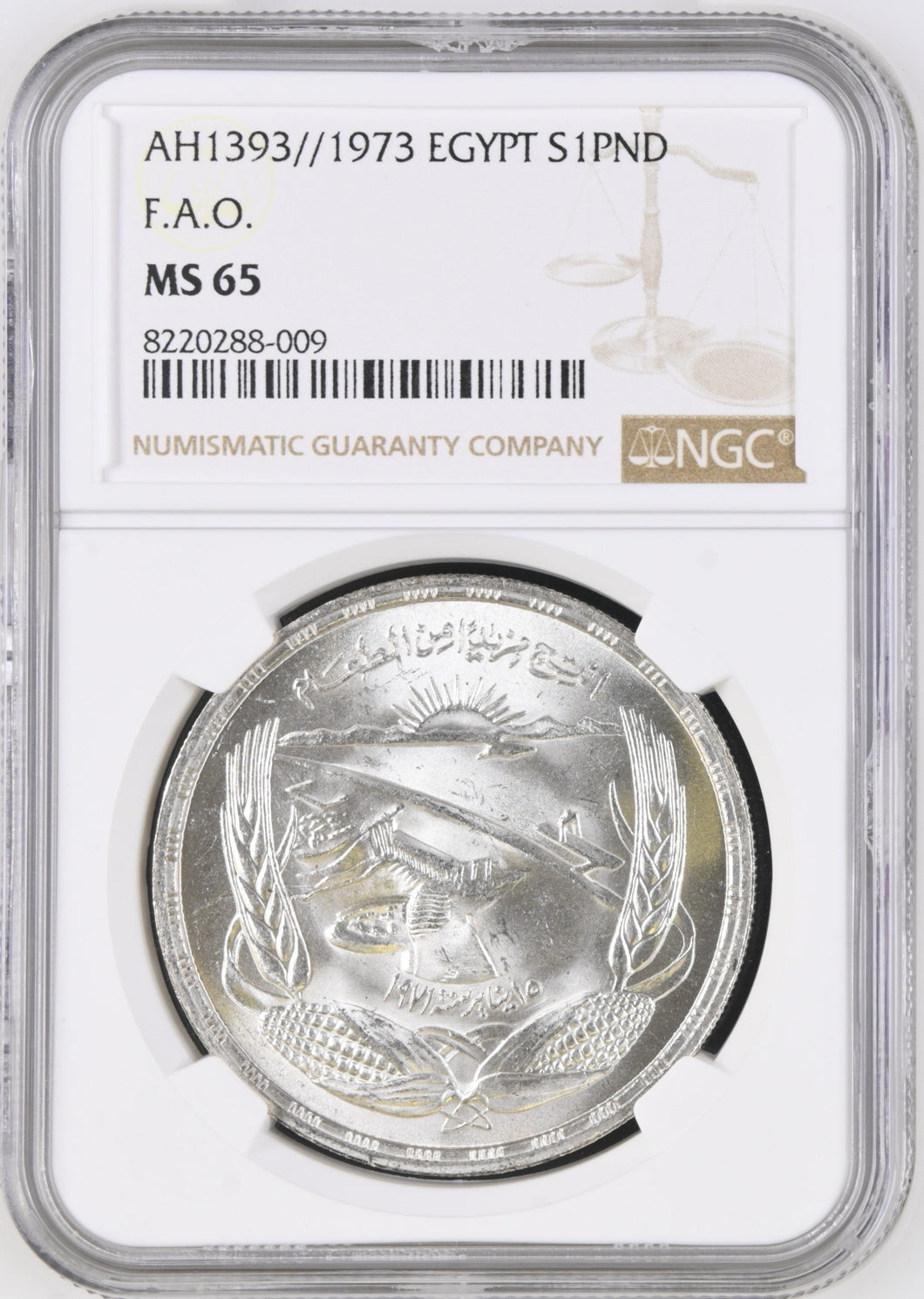 1973 SILVER ONE POUND EGYPT ( NGC ) MS65 - NGC SILVER COINS - Cambridgeshire Coins