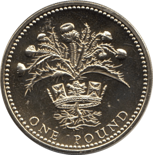 1989 ONE POUND £1 SCOTTISH THISTLE BRILLIANT UNCIRCULATED BU - £1 BU - Cambridgeshire Coins