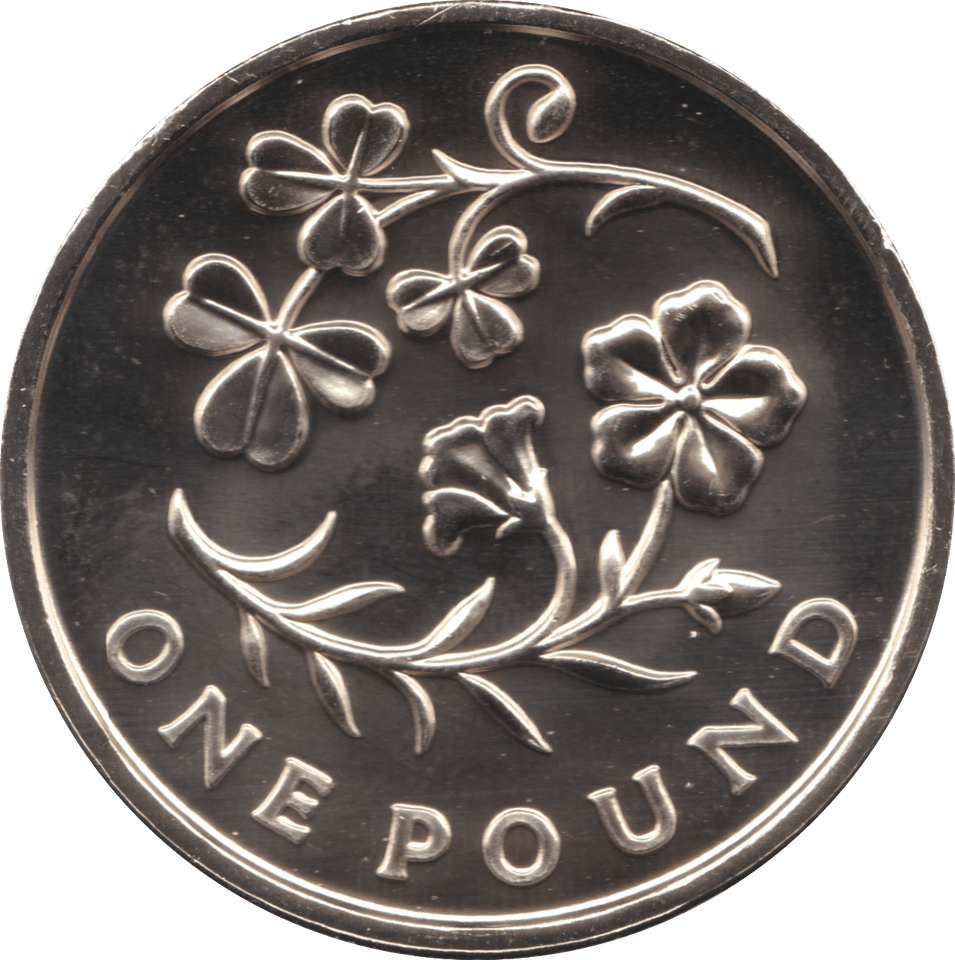 2014 ONE POUND £1 NORTHERN IRELAND BRILLIANT UNCIRCULATED BU - £1 BU - Cambridgeshire Coins